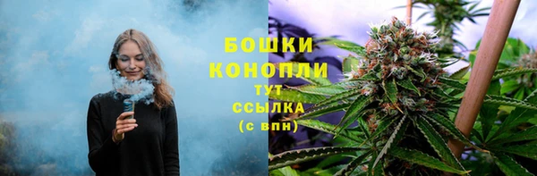 прущие крисы Аркадак