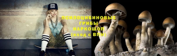 прущие крисы Аркадак