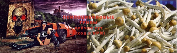 таблы Армянск
