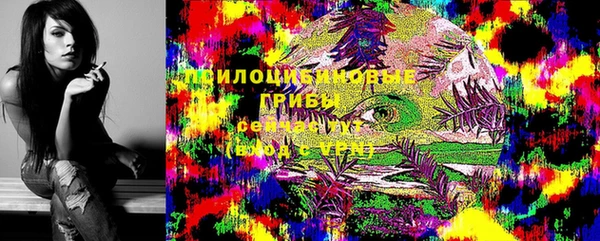 таблы Армянск