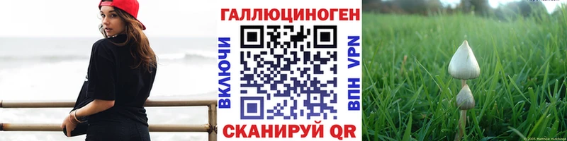 Галлюциногенные грибы Psilocybe  даркнет телеграм  Кологрив  где купить наркоту 